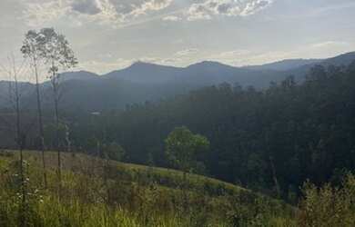 Imagem 4: Variedades de tamanhos 1000m