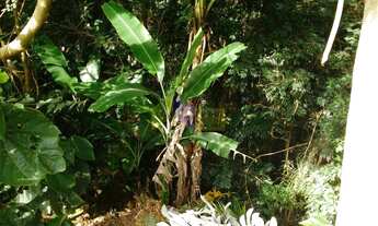 Imagem 6: Lote em Condomínio para comprar Parque Residencial Cantareira Mairiporã