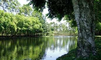 Imagem 5: CAPãO DA CANOA - Terreno Padrão - Condominio Terrasul