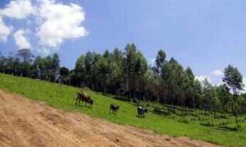 Imagem 6: TERRENO RESIDENCIAL em Ibiúna - SP, Rod. Bunjiro Nakao