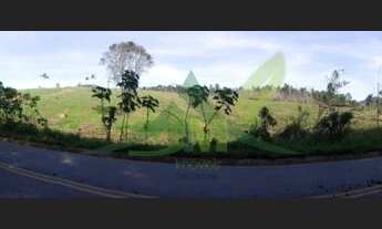 Imagem 3: Área no asfalto com 8 alqueires em Piracaia