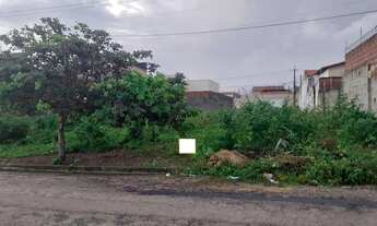 Imagem 3: Lote de 10 X 20, Parque Verde, Nova Esperança, Próximo à UPA