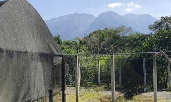 Imagem 6: Chácara à venda no bairro América de Cima - Morretes/PR