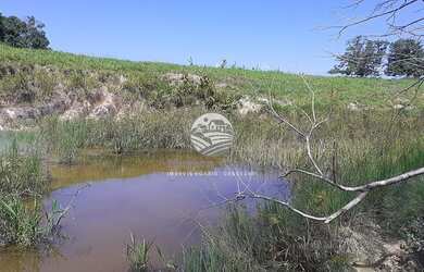 Imagem 7: Vale do Paraíso - Sítio - 25 alqueires proximo da cidade