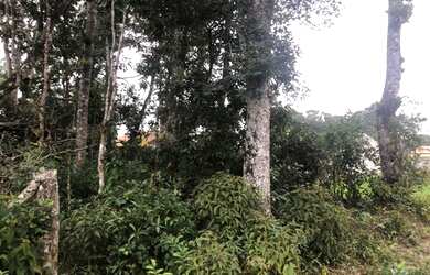 Imagem 5: Terreno parcelado à venda, entrada por R$ 7.000 mais parcelas- Brandalize - Itapoá/SC