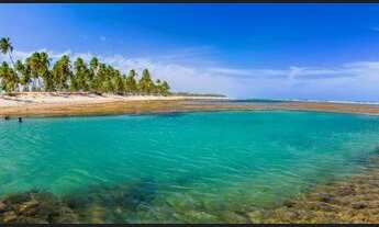 Imagem 4: Lote/Terreno para venda com 630 metros quadrados em Praia do Forte - Mata de São João - BA