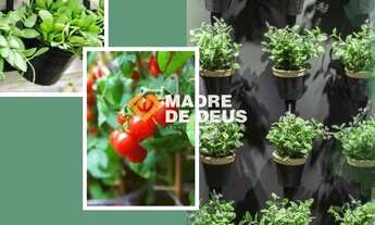 Imagem 7: FORTALEZA - Padrão - Papicu