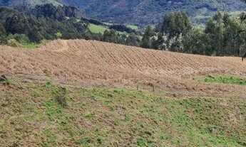 Imagem 4: Excelente sítio de 12 hectares!