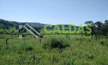 Imagem: Fazenda de 72 em pecuária a venda na região
