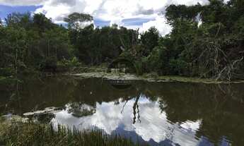 Imagem 5: Chácara PRODUTIVA Zona Rural, Hidrolândia, GO