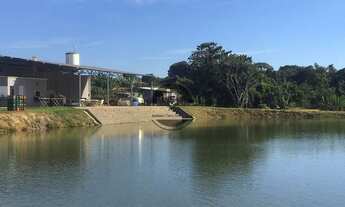 Imagem 2: Chácara PRODUTIVA Zona Rural, Hidrolândia, GO