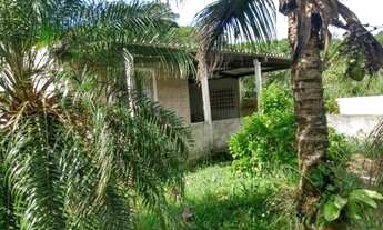 Imagem 3: Casa com churrasqueira, excelente quintal, escritura