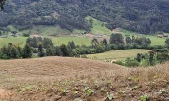 Imagem 3: Excelente sítio de 12 hectares!