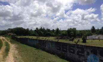 Imagem 5: SãO GONçALO DO AMARANTE - Terreno Padrão - Lagoa Azul