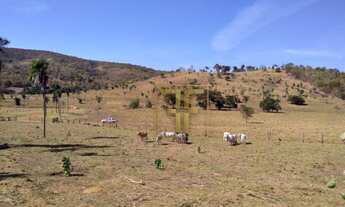 Imagem 7: Fazenda 80 Alqueires, Bom Jesus, GO