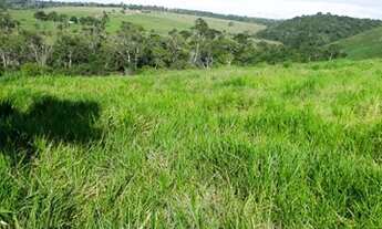Imagem 7: Fazenda com 172,06 Ha em Laje