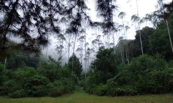 Imagem 4: 7 alqueires em caminho do sul preservação total