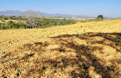 Imagem 7: CHÁCARA 1.000M COM FINANCIAMENTO DIRETO COM PROPRIETÁRIO