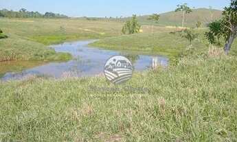 Imagem 7: Ariquemes - Sítio - 10 alqueires