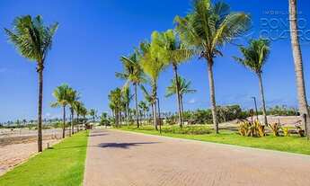 Imagem 2: MATA DE SãO JOãO - Terreno Padrão - Costa do Sauípe