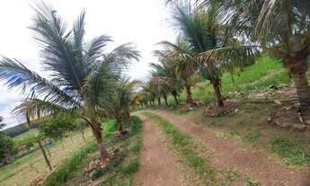 Imagem 5: Chácara a venda em Cocalzinho Condomínio Na beira do corrego Parque das Águas