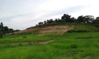 Imagem 7: Fazenda para venda tem 300ht m² em Manacapuru - Iranduba - Amazonas