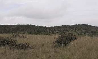 Imagem 4: Fazenda Fazenda / sítio com venda por R$350.000