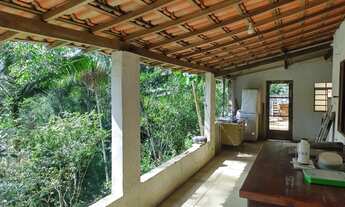 Imagem 4: 10 mil mts com inscidencia de fauna