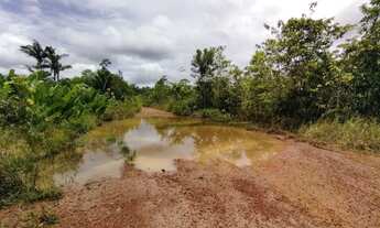Imagem 6: Fazenda com 3000 hectares em Presidente Figueiredo/AM, a 185 km de Manaus. A 14 km da BR