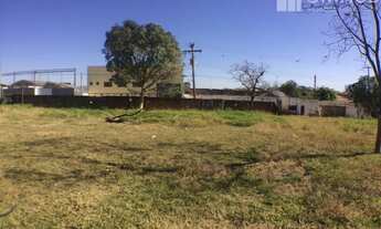 Imagem 6: Terreno - Amarais - Campinas