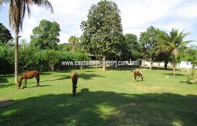 Imagem 4: Caetano Imóveis - Sítio para venda com 10.000 metros quadrados com 5 quartos