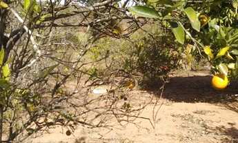 Imagem 2: Sítio nazareno e São Tiago