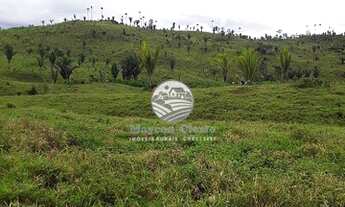 Imagem: Alto Paraíso - Fazenda - 65 Alqueires