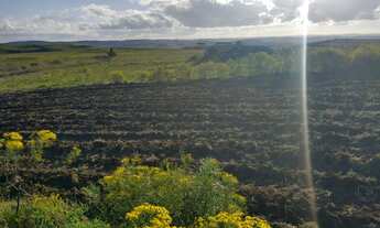 Imagem 3: Sitio com 150.000 m2, ótima localização