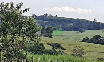 Imagem: Fazenda Dupla Aptidão - em CANA ARRENDADA