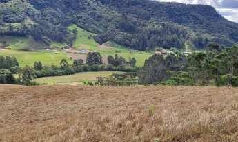 Imagem 5: Excelente sítio de 12 hectares!