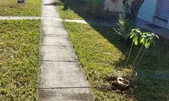 Imagem 2: Ótima casa 2/4 Casa em condomínio com 2 dormitórios