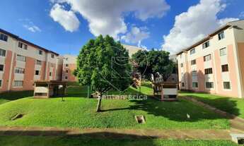 Imagem: LONDRINA - Padrão - Coliseu