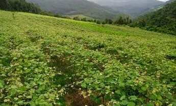 Imagem 4: Oportunidade de negócio