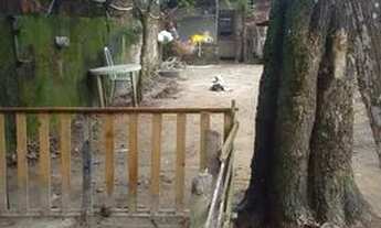 Imagem 4: Vendo casarão Casa com 3 dormitórios