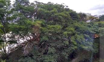 Imagem 3: Apartamento Dúplex no Jardim Europa 240m2 - 3 dorm - 1 suíte - 4 vagas