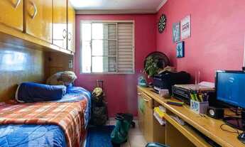 Imagem 6: Apartamento para Aluguel - Jardim Maria Rita, 2 Quartos, 50 m2