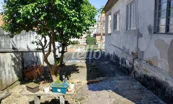 Imagem 4: São Paulo - Terreno Padrão - Santana