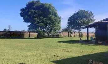 Imagem 3: Sítio em Lami Chácara com venda por R$380.000