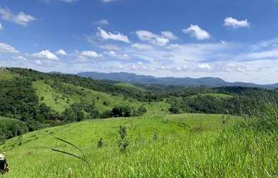 Imagem 4: LOTE DE 500 A 700 METROS COM ÁREA VERDE '