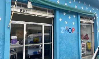 Imagem: Vende-se petshop com banho e tosa