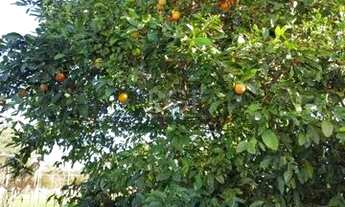 Imagem 7: Casa para Venda - 250m², 4 dormitórios, sendo 2 suites, 2 vagas - Hípica