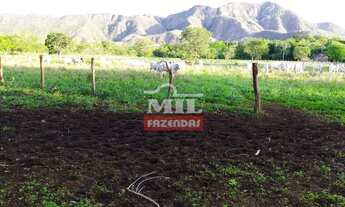 Imagem 2: Fazenda 204 Alqueires (987 Hectares) em Natividade - TO