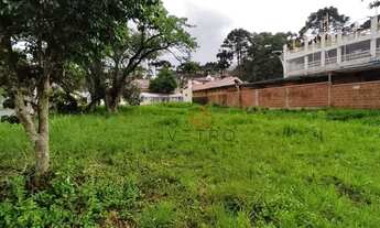 Imagem 5: Terreno no Centro de Canela!