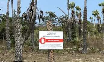Imagem: Terreno 858 metros quadrados no Cajueiro
